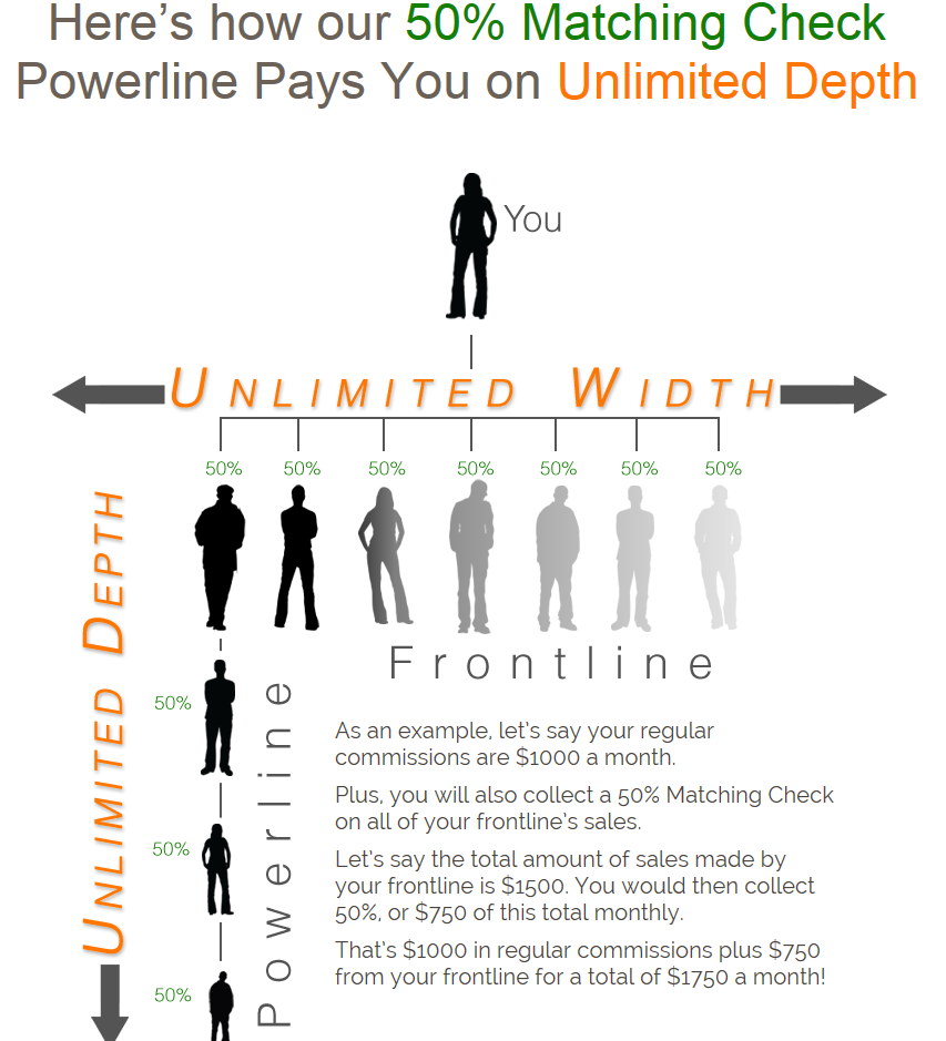 Pure Leverage's compensation plan