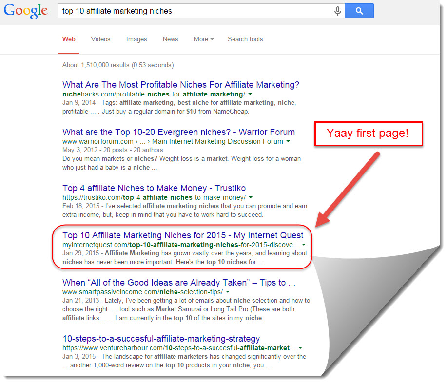 google search results for Top 10 Affiliate Marketing Niches
