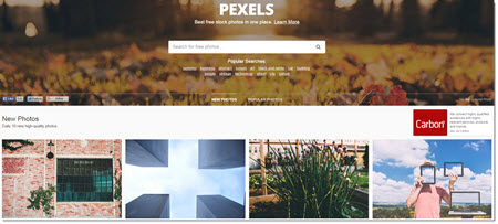 Pexels