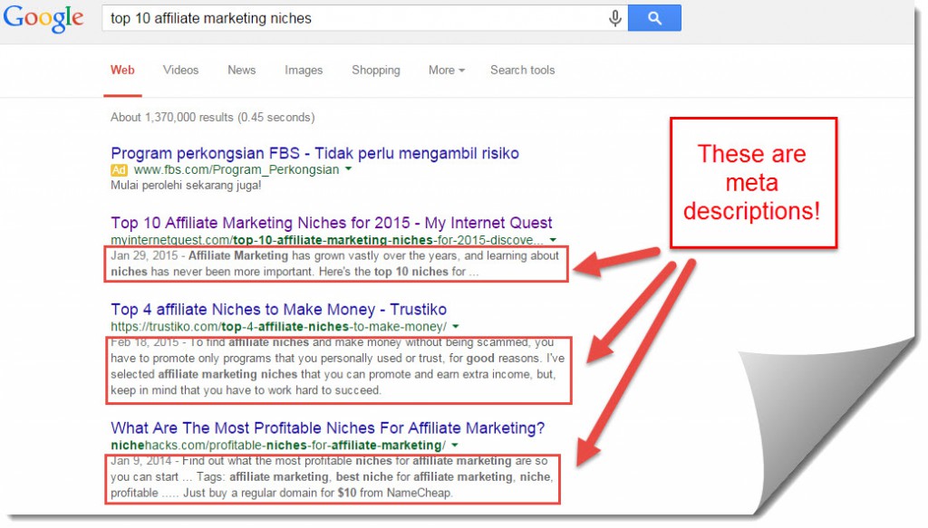 meta decriptions for affiliate marketing niches