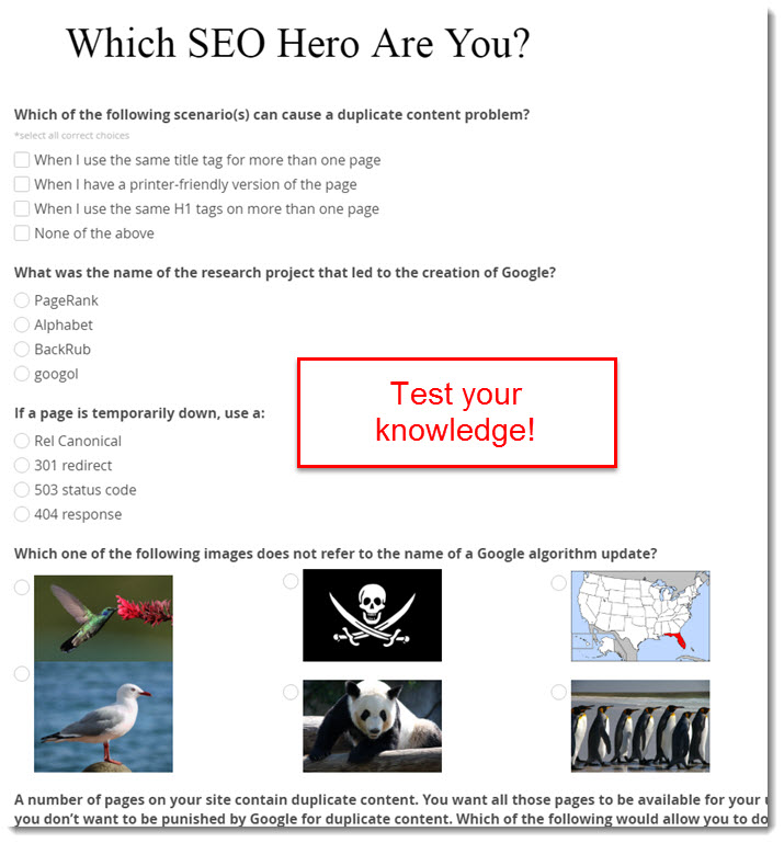 SEO Hero quizzes